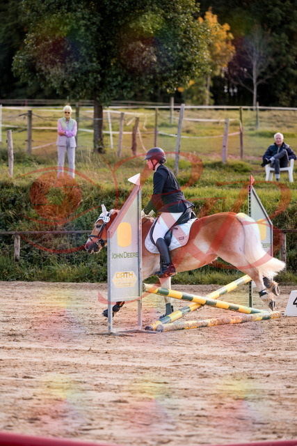 2026_10_03_Siefer-Hof_145500_Z81_35405617 | Professionelle Reitsport-, Turnier- und Eventfotografie von Robert Broda. Galerien mit ausgewählten und bearbeiteten Bildern direkt online ansehen und bestellen.