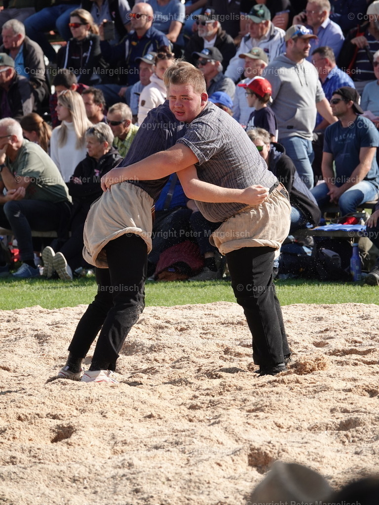 DSC05620 | Schwingen - Realisiert mit Pictrs.com