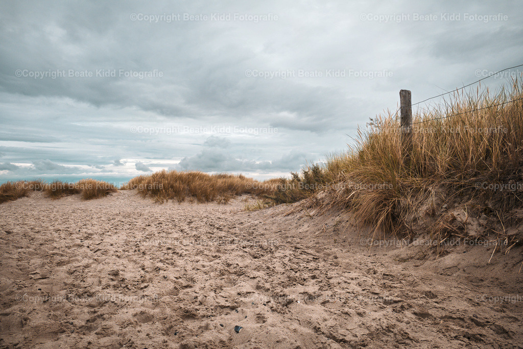 P1800368 | beatekidd-fotografie - Realisiert mit Pictrs.com