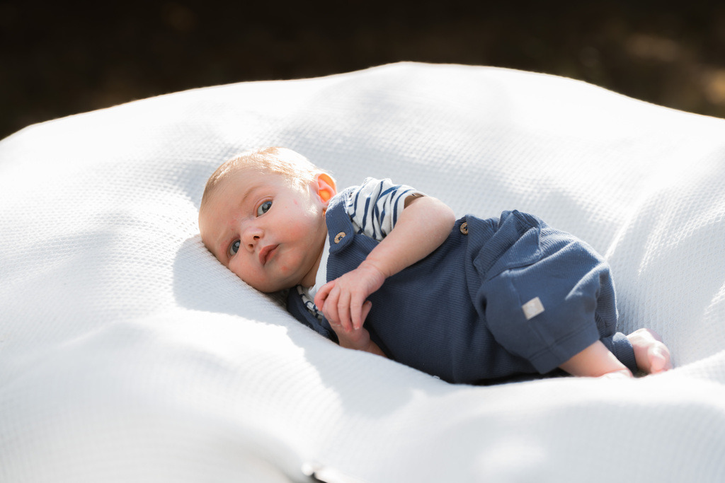 ZD260823180048 | Fotoshop von zweidimensional Fotografie. Ihr Fotograf im Aargau. Abzüge von Ihrem Fotobox Event bestellen.Abzüge von Ihrem Hochzeit bestellen.Abzüge von Ihrem Schulfotograf bestellen.