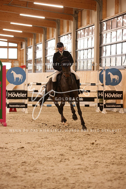 1J2A6591Alexa Burmeister_ Catania 131_ Kn091_ Glantz_ Hohen Wieschendorf | Foto- und Videografie für alles rund ums Pferd. Hochwertige Bilder und Videos vom Spring- und Dressurreiten, Voltigieren & mehr. Jetzt aktuelle Veranstaltungen und Preise im Shop ansehen. - Realisiert mit Pictrs.com