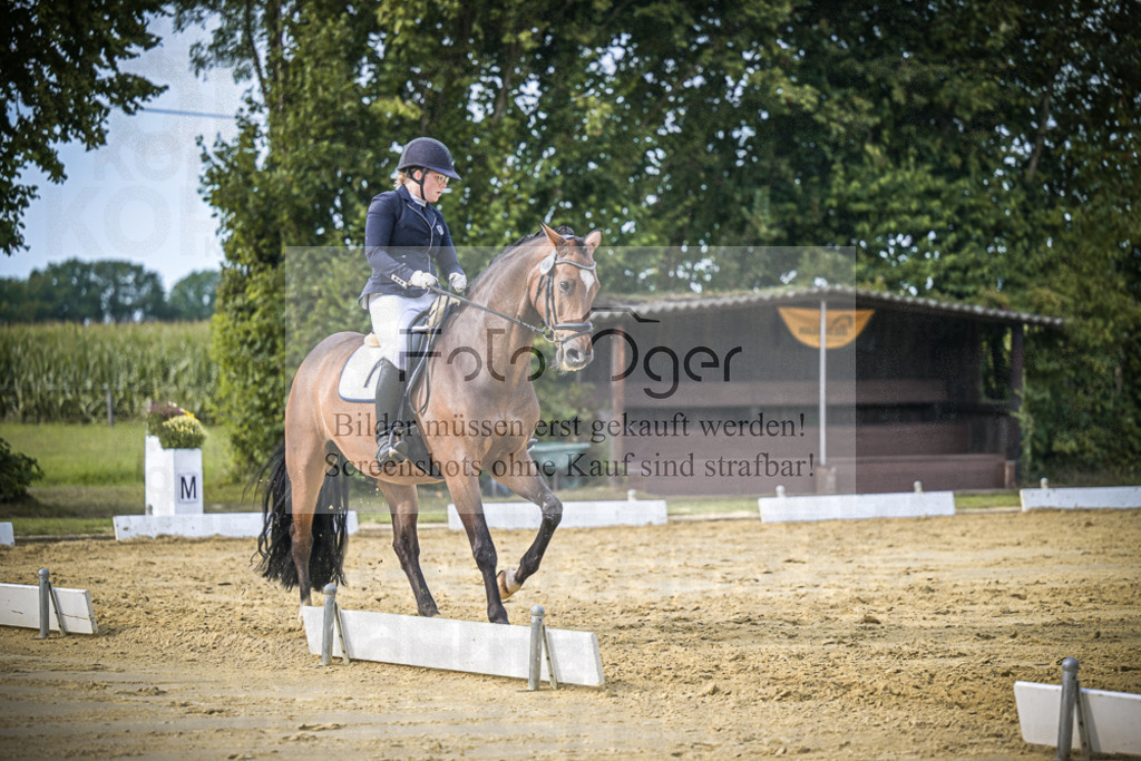 DOS_8944 | Entdecke hochwertige Reitturnierfotos von Foto Oger. Professionell, emotional und authentisch – jetzt Lieblingsmomente im Shop bestellen.Deutschlandweite Turnierfotografie. - Realisiert mit Pictrs.com