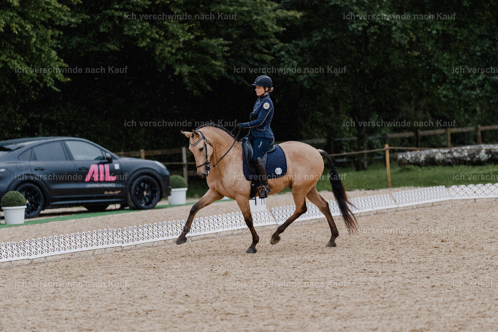 Diana11_FHC2025-8718 | working equitationturnier fotograf videograf stoibphotography marixx film working equitation deutschland reitsport turnierfotografie eventfotografie equestrian events