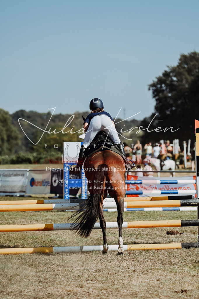 DSC_0069 | Pferde- und Turnierfotografie in Westsachsen. Pferdeportraits, Auftragszeichnungen und intuitive Kunst.