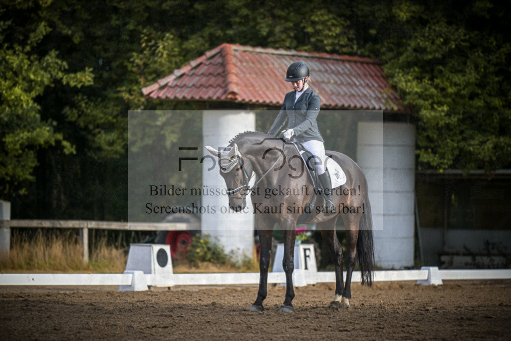 DOS_0632 | Entdecke hochwertige Reitturnierfotos von Foto Oger. Professionell, emotional und authentisch – jetzt Lieblingsmomente im Shop bestellen.Deutschlandweite Turnierfotografie. - Realisiert mit Pictrs.com