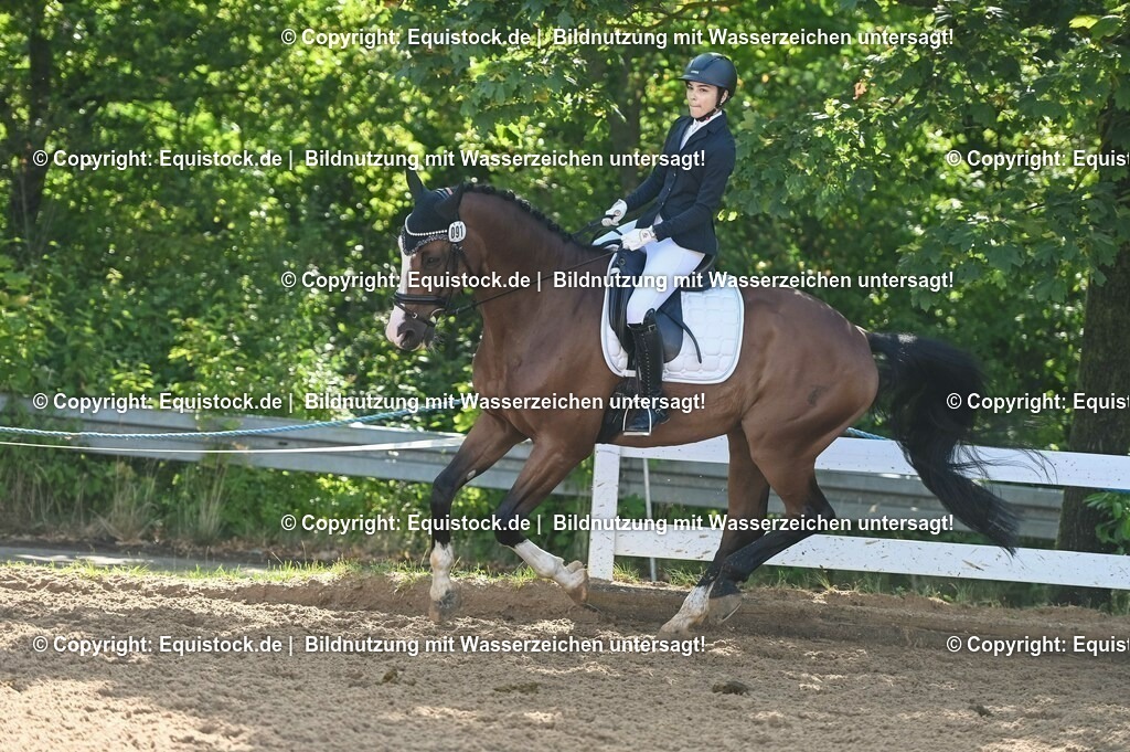 20230716_04_Dressurreiterprüfung Kl.A_0179 | equistock