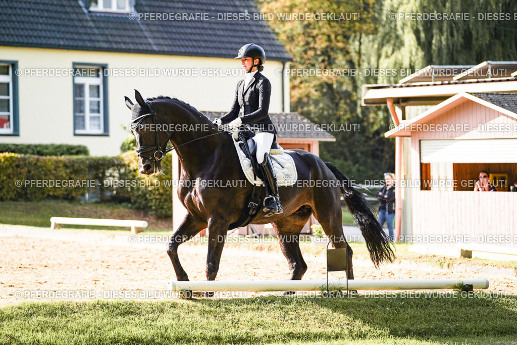 DSC05610 | Pferdegrafie