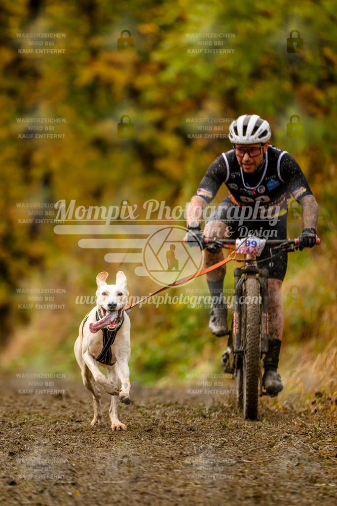 MompixPhotography_ICF_WC_2024_SA_Bike_-64 | PayLife