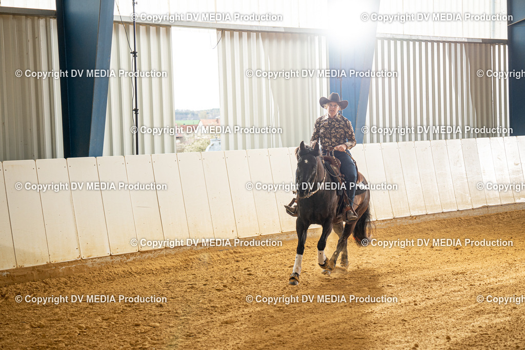 MIT00411 | dv-media-shop - Realisiert mit Pictrs.com