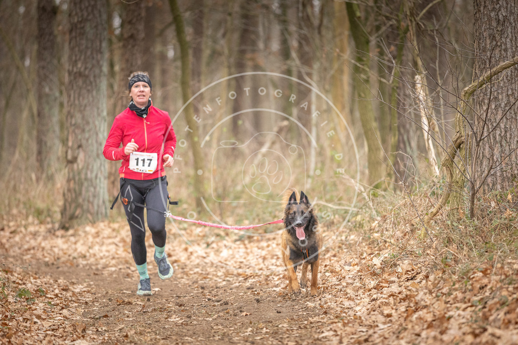 Pfotenfotografie_DV3A7733 | Hundefotografie, Tierfotograf, Pfotenfotografie, Fotoshooting Hund, Hunde Portrait, Hundesport, Hundeportraits, Heideshooting, Hunde, Sportfotograf, Hundefotograf, Turnierhundsport, THS,  - Realisiert mit Pictrs.com