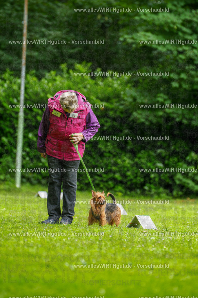 @allesWIRTHgut_Tierfotografie - www.allesWIRTHgut.de - 130610-7R509760 | Professionelle Tierfotografie in Mönchengladbach von Daniel Wirth (allesWIRTHgut). Liebevolle & natürliche Bilder von Hunden & Katzen für unvergessliche Erinnerungen.