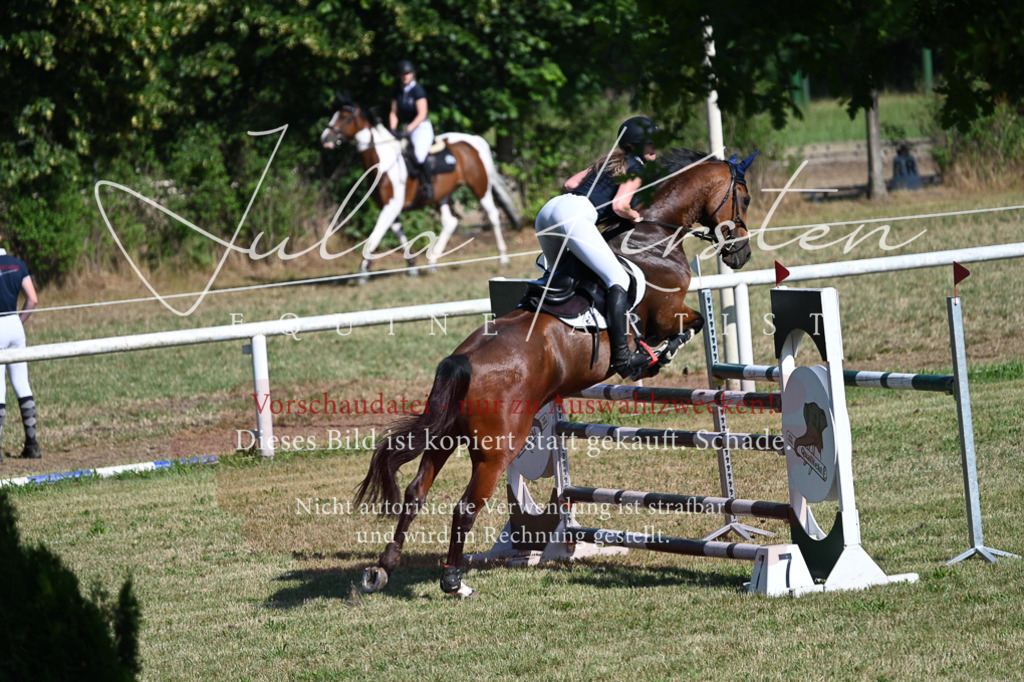 DSC_2097 | Pferde- und Turnierfotografie in Westsachsen. Pferdeportraits, Auftragszeichnungen und intuitive Kunst.