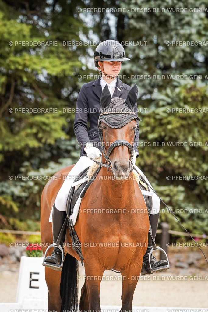 DSC04525 | Pferdegrafie