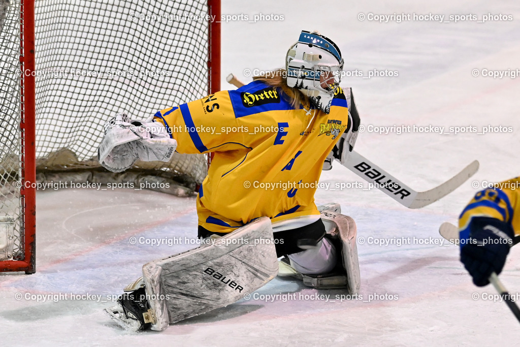 ESC SPARKASSE STEINDORF vs. EHC Althofen | #1 Adamitsch Anja EHC Althofen, ESC SPARKASSE STEINDORF vs. EHC Althofen, ESC SPARKASSE STEINDORF vs. EHC Althofen am 06.03.2026 in Steindorf (Ossiachersee Halle), Austria, (Photo by Bernd Stefan)