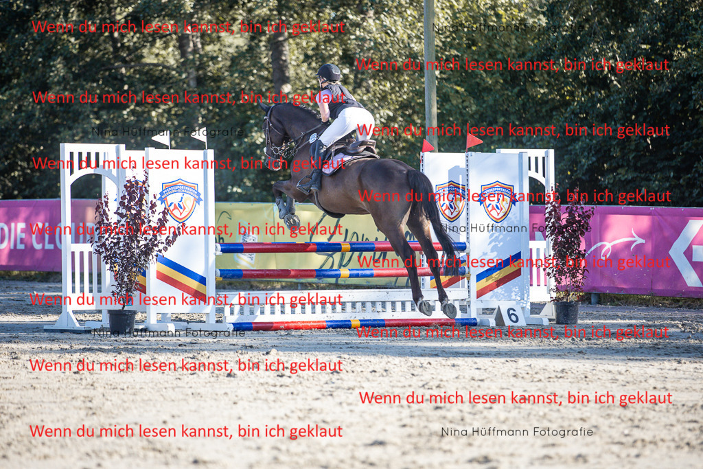 BK1A7727 | Turnierbilder Turnierfotos Nina Hüffmann Turnierfotografie Pferdefotografie Tierzeichnung Haustierzeichnung Pferdezeichnung Hundezeichnung Videograf  - Realisiert mit Pictrs.com