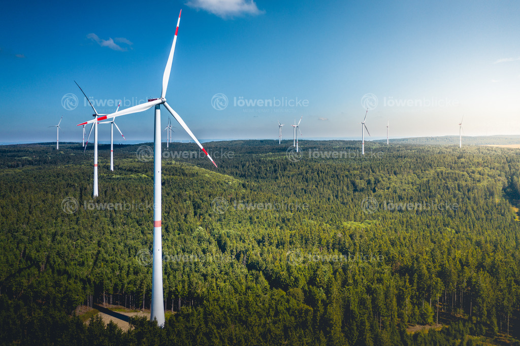 DANIEL-GIMMER-PHOTOGRAPHY_LOEWENBLICKE_0079 | löwenblicke | shop