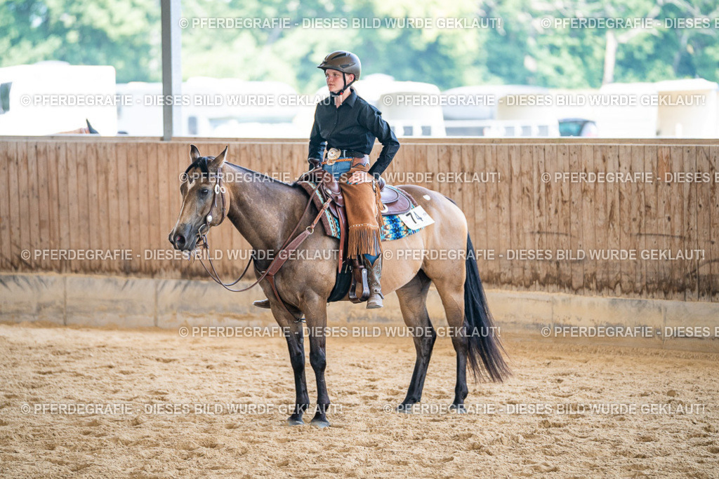 DSC03430 | Pferdegrafie