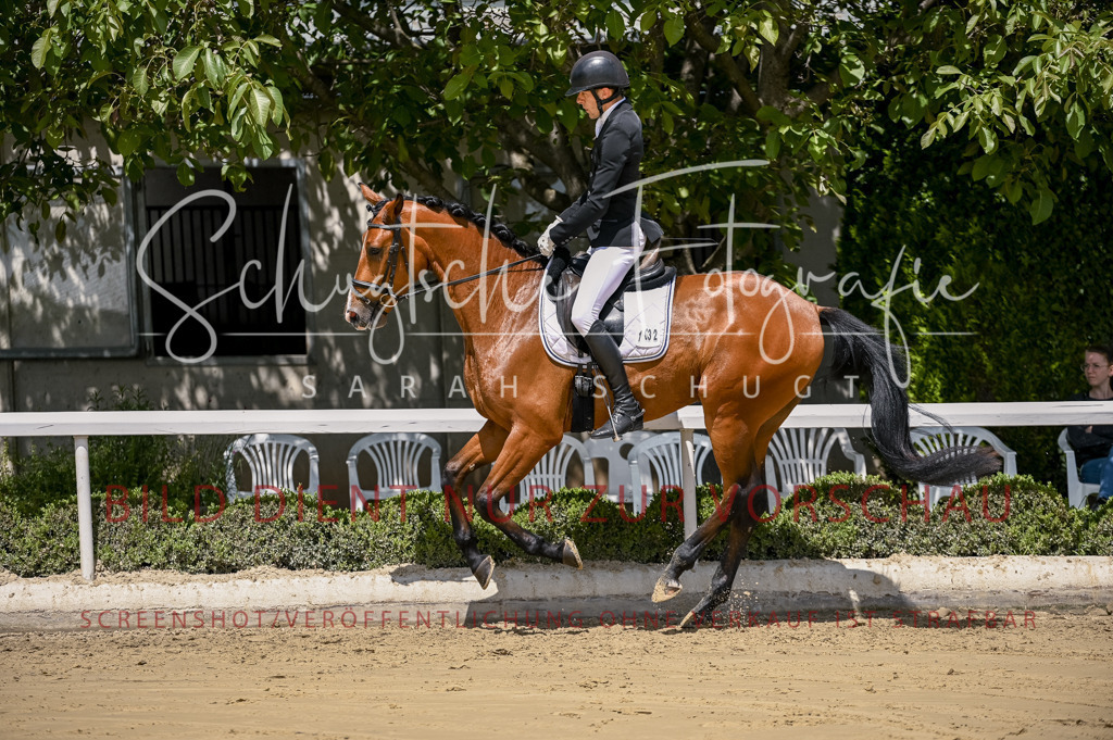 Schugtsche-Aluta25-48.Reitpferfdeprf.-222 | Schugtsche Fotografie - Realisiert mit Pictrs.com