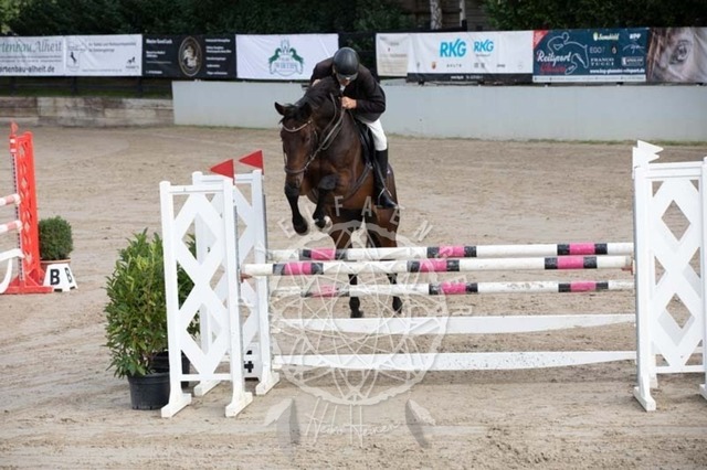 2B4A2085 | pixelfaenger - Realisiert mit Pictrs.com