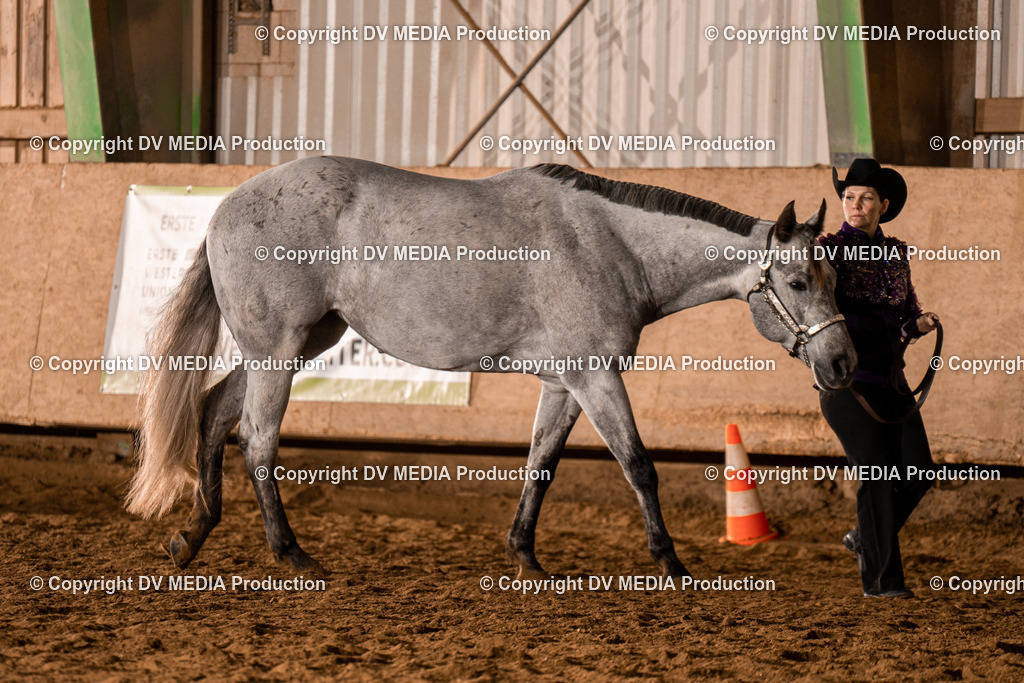 BAL01330 | dv-media-shop - Realisiert mit Pictrs.com