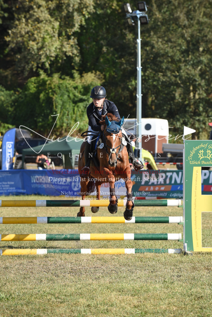 DSC_5224 | Pferde- und Turnierfotografie in Westsachsen. Pferdeportraits, Auftragszeichnungen und intuitive Kunst.