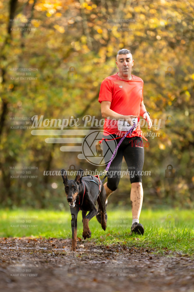 MompixPhotography_Bischwiller23_Canicross-129 | PayLife