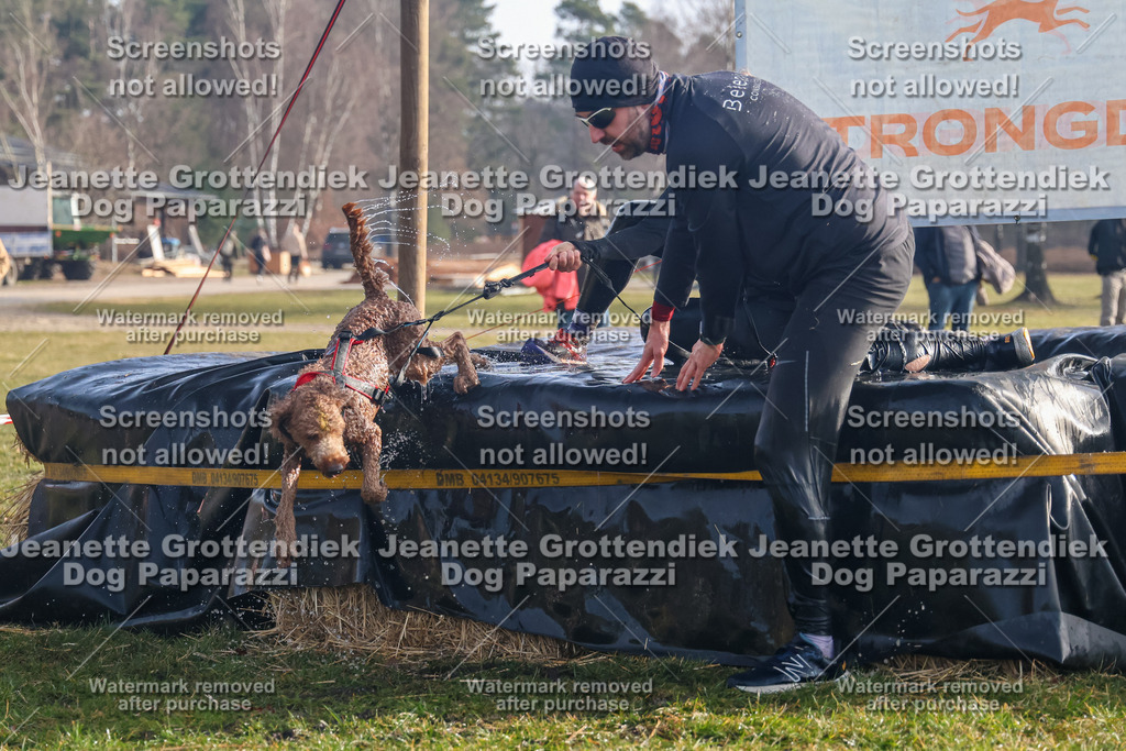 Dog Paparazzi - Strongdog North Mrz26-72 | Dog Paparazzi Jeanette Grottendiek Fotografie & Videografie - Realisiert mit Pictrs.com