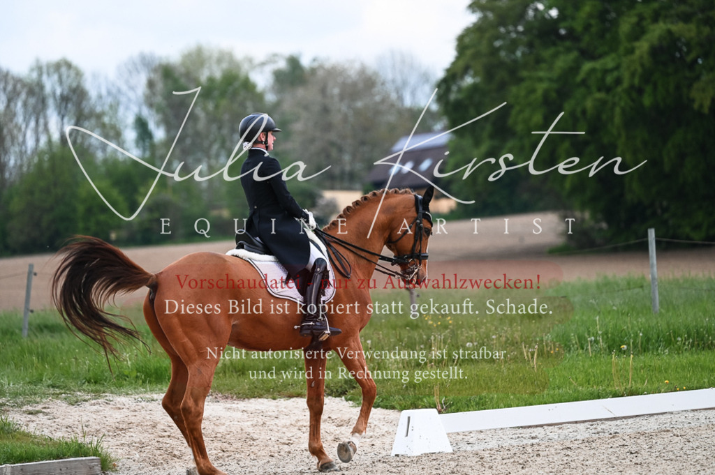 20230513_JK-Röhrsdorf-13-545 | Pferde- und Turnierfotografie in Westsachsen. Pferdeportraits, Auftragszeichnungen und intuitive Kunst.
