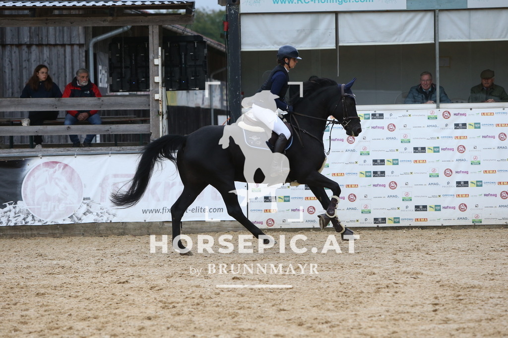 DL2Q0437 | Willkommen bei Brunnmayr - Design & Fotografie – Ihrem Spezialisten für Reitturniere und Pferdeveranstaltungen in Oberösterreich, Salzburg und Bayern! Seit über 17 Jahren sind wir leidenschaftlich dabei.