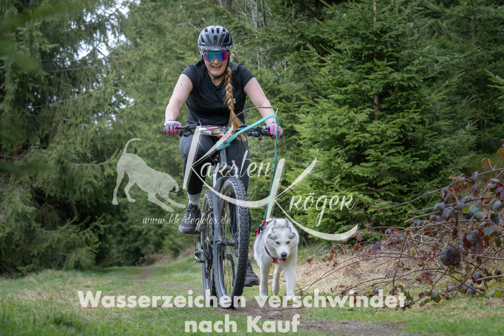 1317_ZZ94137 | kk-dogfotos