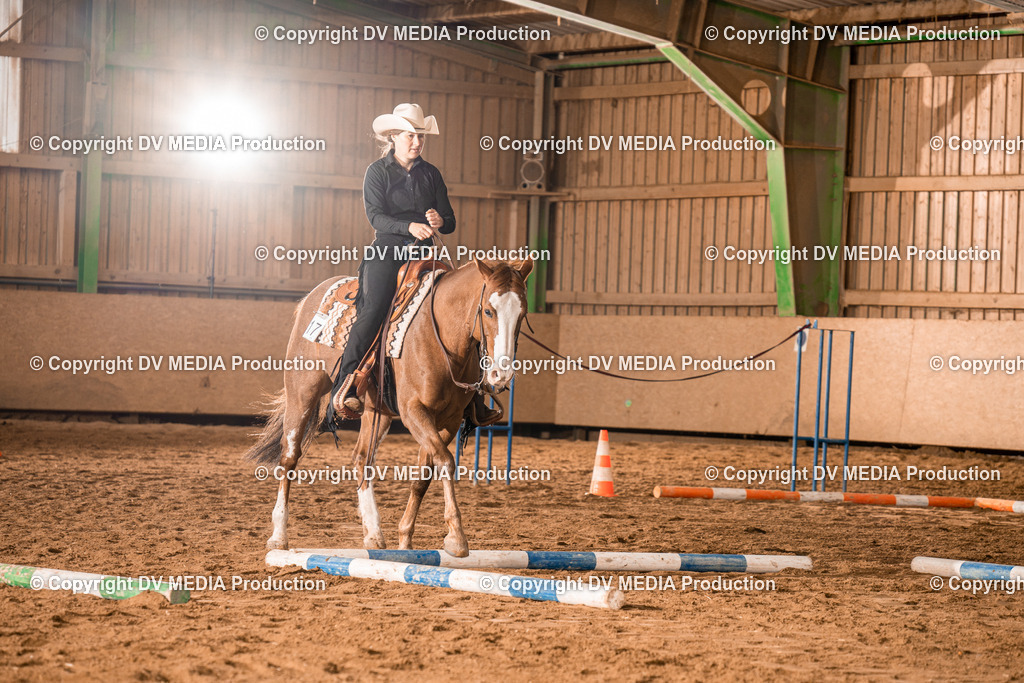 BA300351 | dv-media-shop - Realisiert mit Pictrs.com