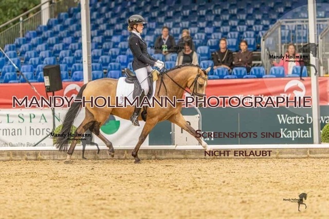 28-8-26 5j DRE-258 | mandyhollmannphotographie