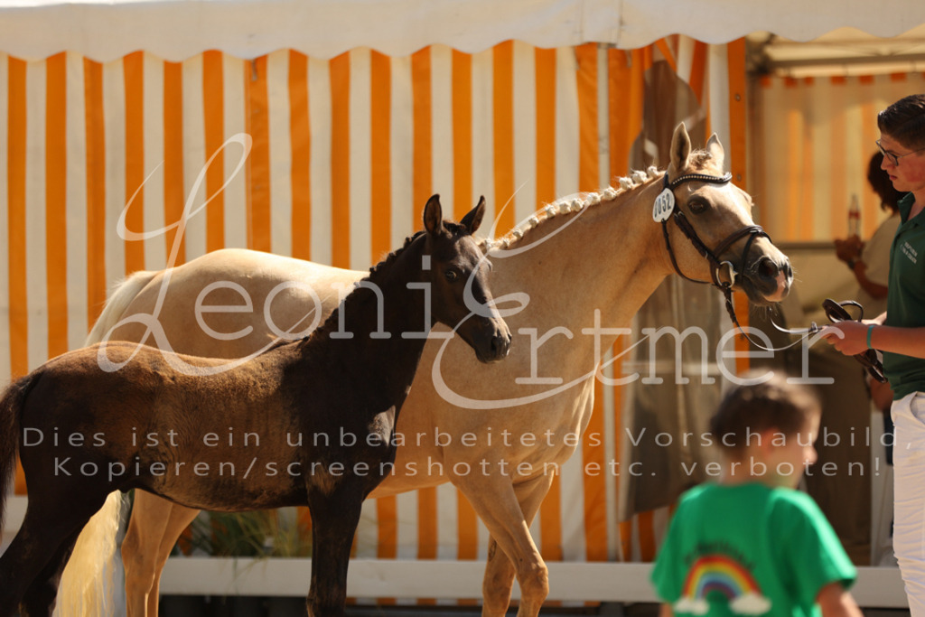 08.DoRPS00043 | Leoni Ertmer Photography - Realisiert mit Pictrs.com