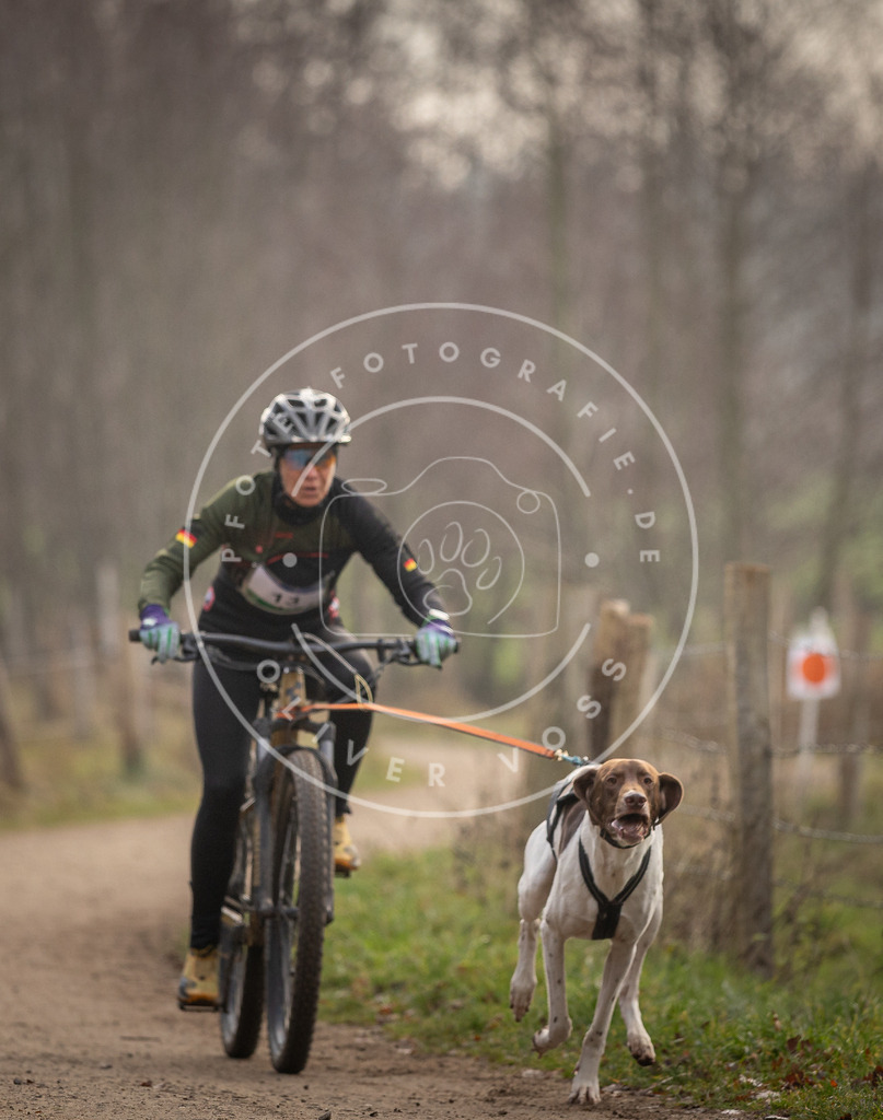 Pfotenfotografie_DV3A1796 | Hundefotografie, Tierfotograf, Pfotenfotografie, Fotoshooting Hund, Hunde Portrait, Hundesport, Hundeportraits, Heideshooting, Hunde, Sportfotograf, Hundefotograf, Turnierhundsport, THS,  - Realisiert mit Pictrs.com