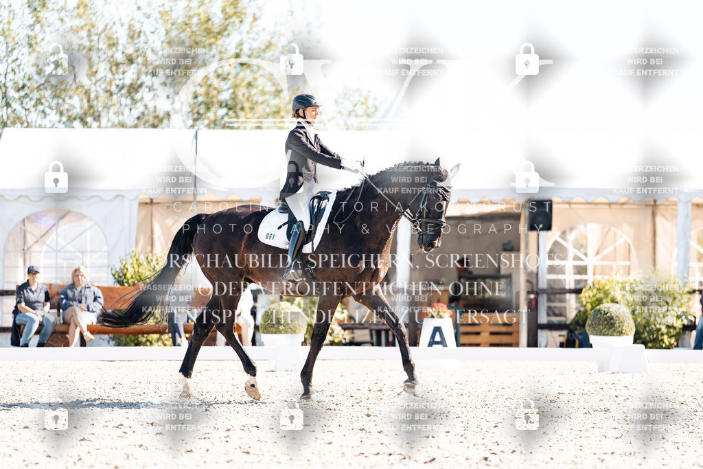 CK908872 | Turnierfotografie Pferdefotografie Trier Rheinland-Pfalz Pferdesport Reitsport Tierfotografie Sportfotografie Pferdevideo Pferdevideografie Equestrianvideography equestrianphotography  - Realisiert mit Pictrs.com