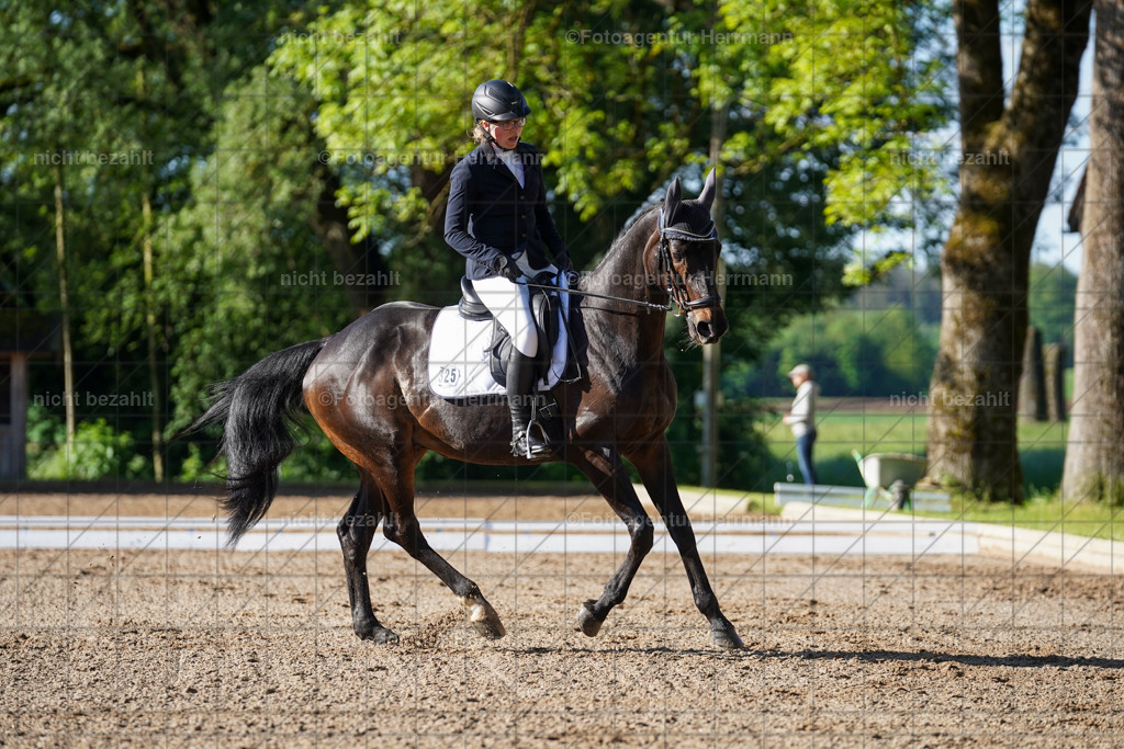 20240519-FAH04313 | Turnierbilder Niederseeon 2024, Vielseitigkeitsdressur, Reitsportbilder aus dem Landkreit Ebersberg, Gut Steinsee, RC Steinsee, Fotoagentur Herrmann