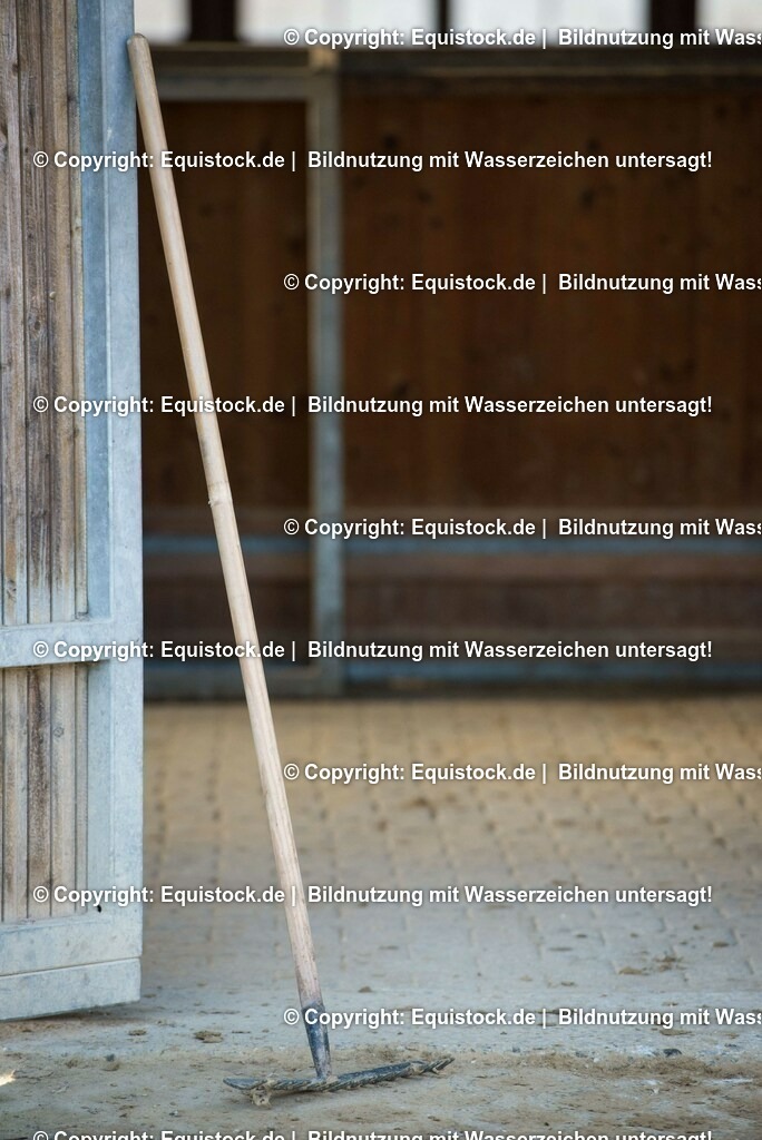 20161213_Rechen_0003 | Foto: Thomas Hartig