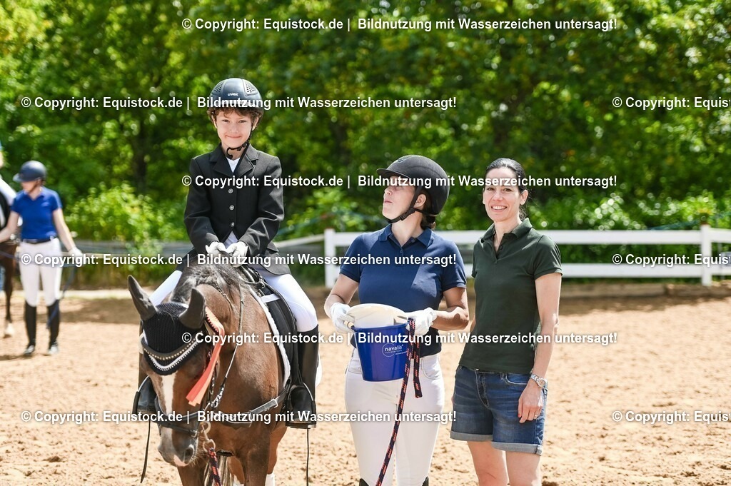 20230716_11_Führzügel-WB_0115 | equistock