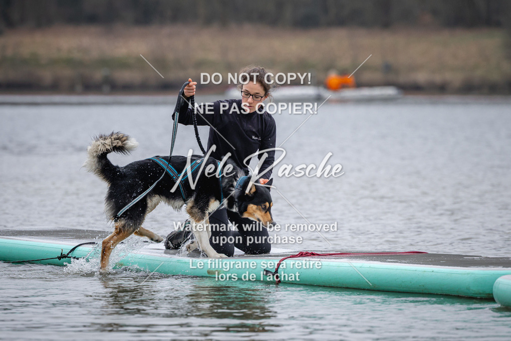 nelerasche_Hulsbeek_Sa1600-1700_140 | nelerasche