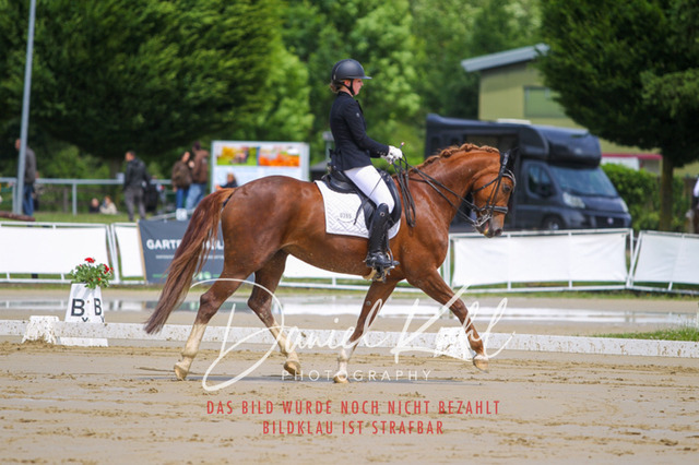 DKP40706 | Turniersportfotografie; Pferdefotografie; Dressurfotografie