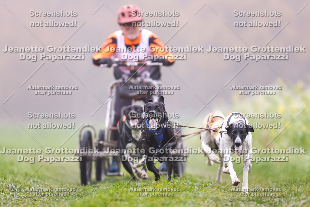 Dog Paparazzi - Visbeck 25 -10 | Dog Paparazzi Jeanette Grottendiek Fotografie & Videografie - Realisiert mit Pictrs.com