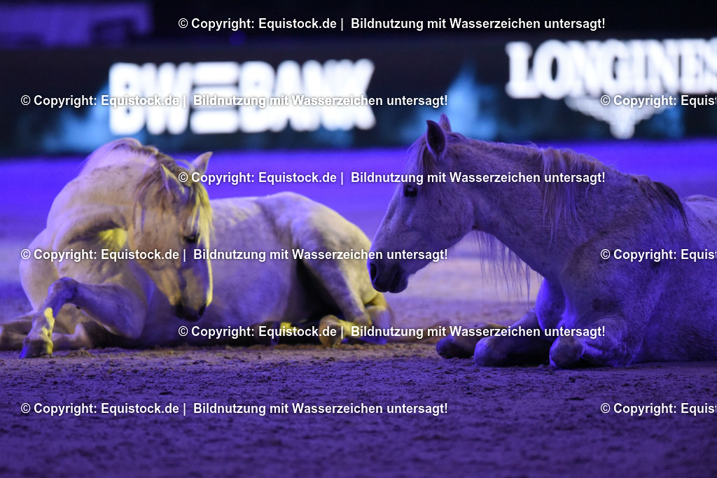 20231115_Show-Jean-Francois-Pignon_0208_TOMsPiC | Foto: Thomas Hartig