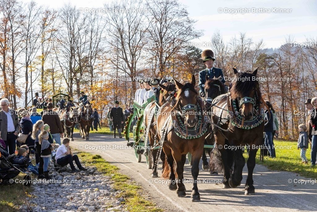 LBT24-1192 | foto-bettina-krinner - Realisiert mit Pictrs.com