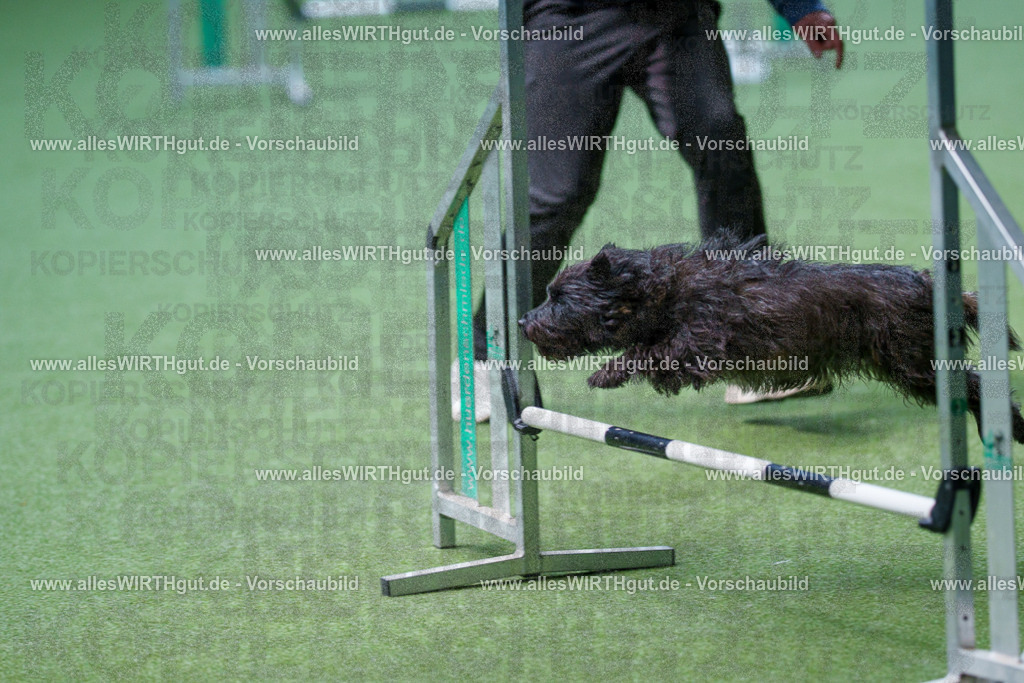 @allesWIRTHgut_Tierfotografie - www.allesWIRTHgut.de - 2604251304-7R503551 | Professionelle Tierfotografie in Mönchengladbach von Daniel Wirth (allesWIRTHgut). Liebevolle & natürliche Bilder von Hunden & Katzen für unvergessliche Erinnerungen.