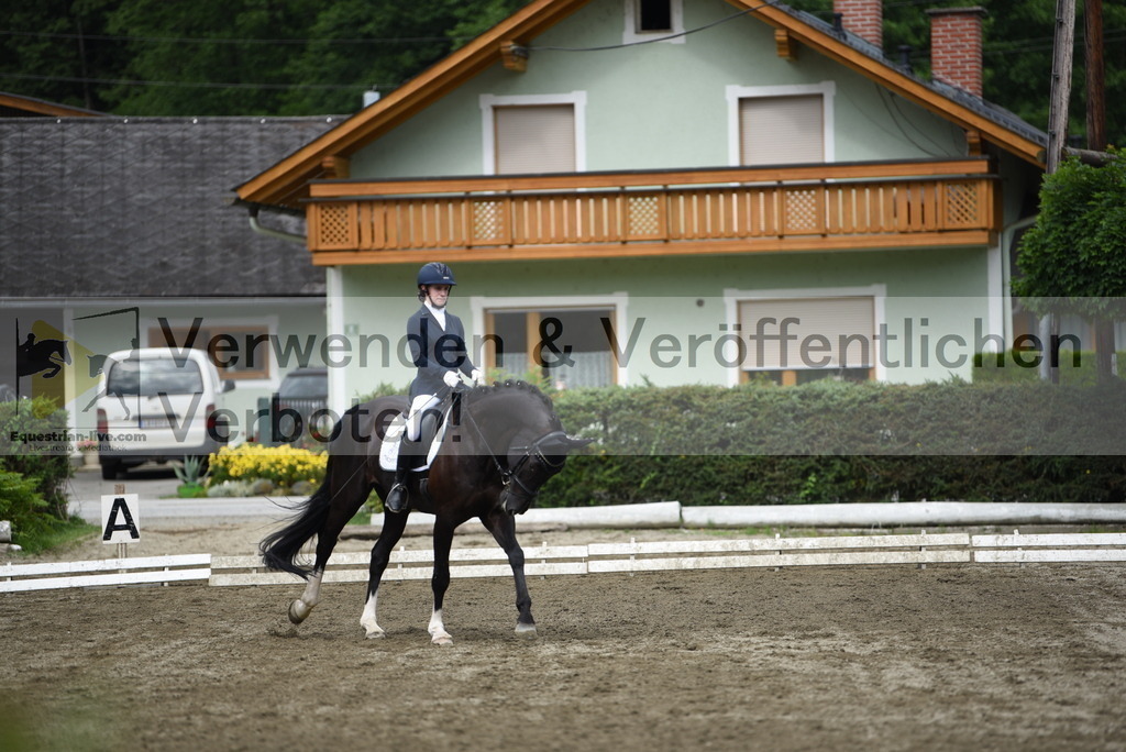 DSC_4571 | equestrian-live-com