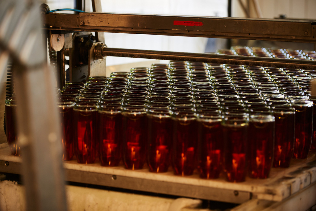 Sektkellerei Szigeti | Gols, Austria - February 19, 2018: Sektkellerei Szigeti; zur Entfernung der Hefereste, das Degorgieren, werden die Sektflaschen  durch ein minus 22 Grad kaltes Solebad gezogen. - Realisiert mit Pictrs.com