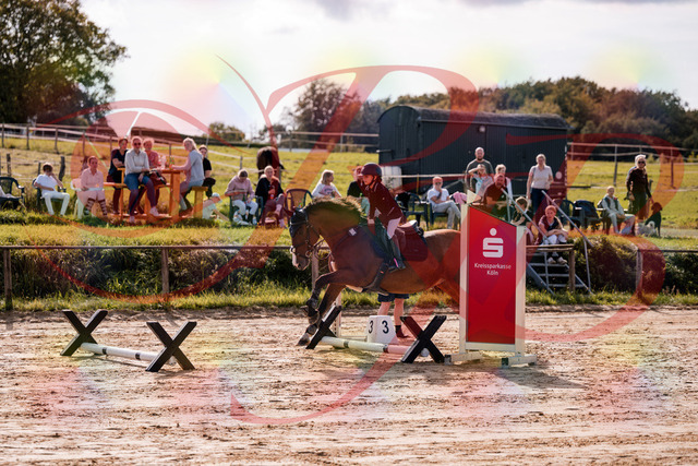 2026_10_03_Siefer-Hof_143807_Z81_07672844 | Professionelle Reitsport-, Turnier- und Eventfotografie von Robert Broda. Galerien mit ausgewählten und bearbeiteten Bildern direkt online ansehen und bestellen.