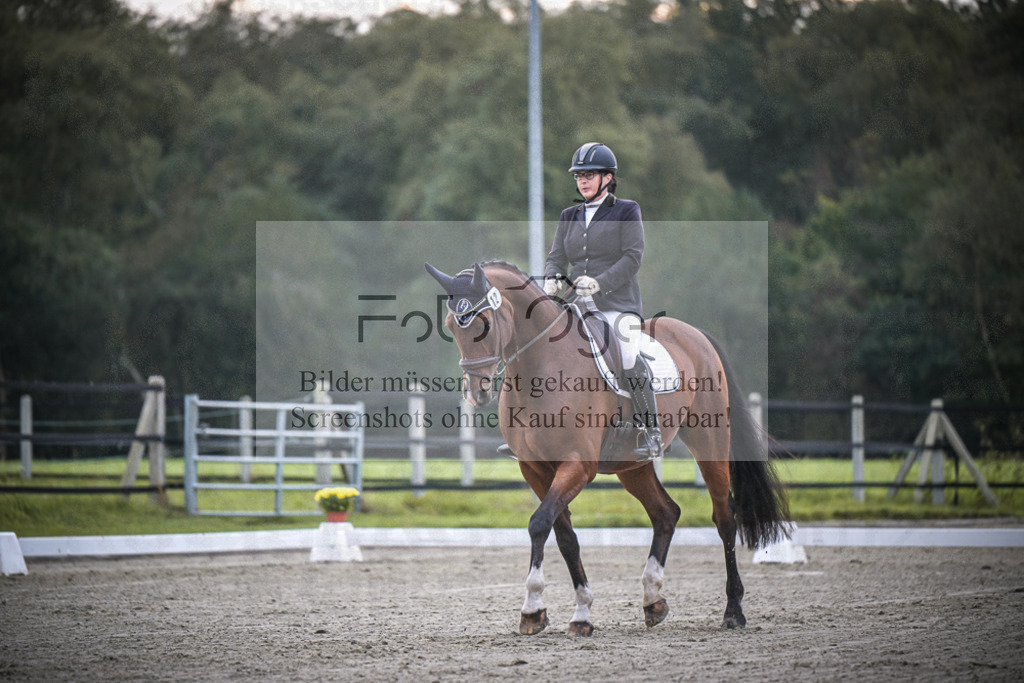 DOS_1134 | Entdecke hochwertige Reitturnierfotos von Foto Oger. Professionell, emotional und authentisch – jetzt Lieblingsmomente im Shop bestellen.Deutschlandweite Turnierfotografie. - Realisiert mit Pictrs.com