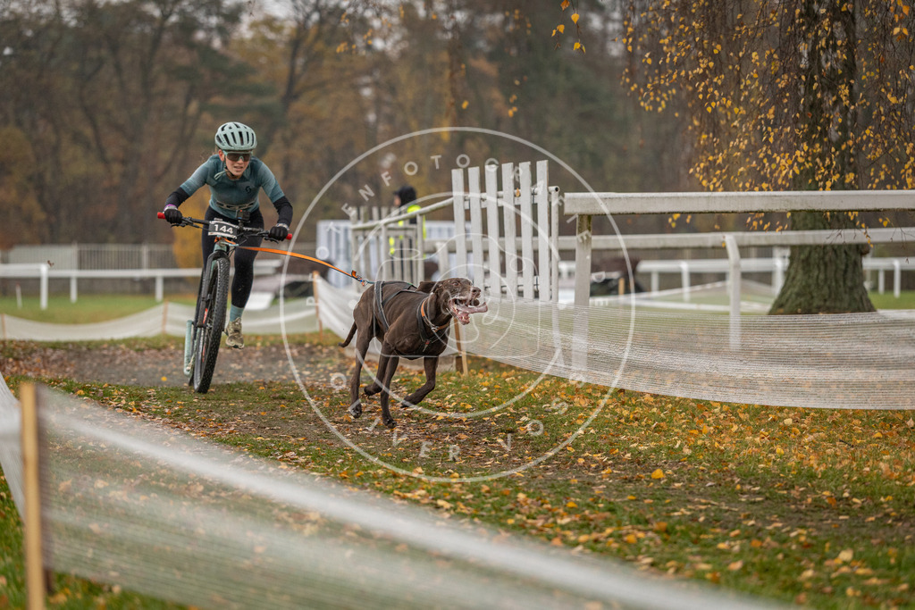 CaniXpix_DV3A7979 | Hundefotografie, Tierfotograf, Pfotenfotografie, Fotoshooting Hund, Hunde Portrait, Hundesport, Hundeportraits, Heideshooting, Hunde, Sportfotograf, Hundefotograf, Turnierhundsport, THS,  - Realisiert mit Pictrs.com