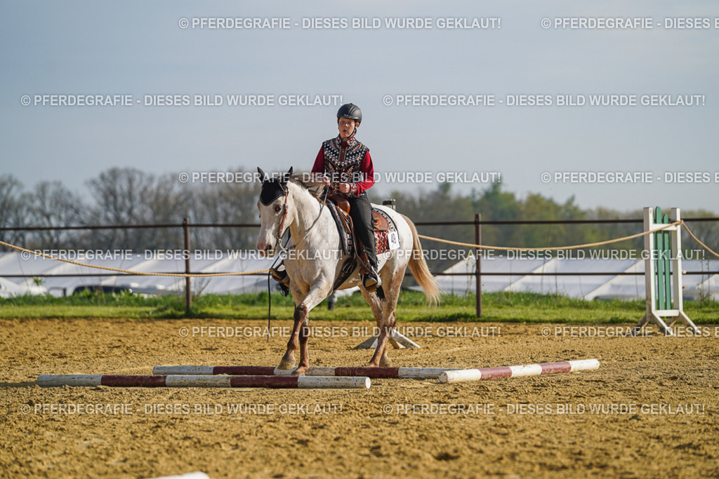 DSC00861 | Pferdegrafie